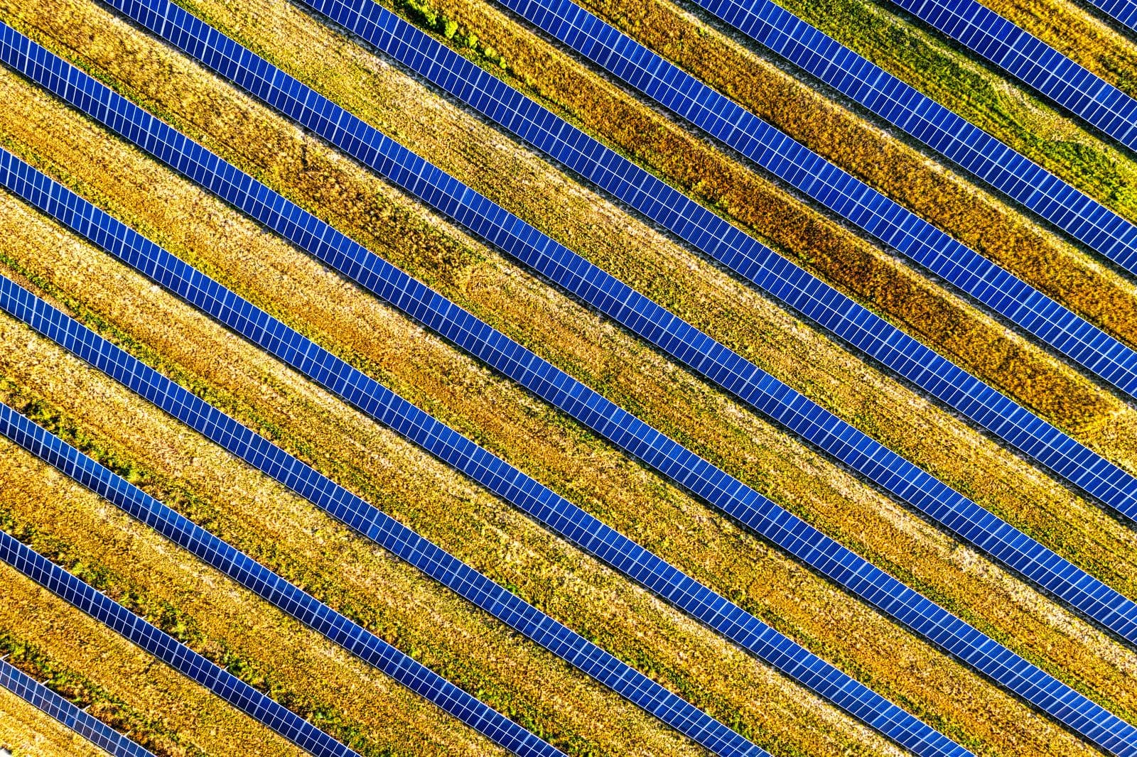 Solar Park Civil & Balance-of-System — project view